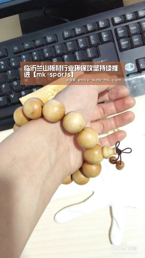 临沂兰山板材行业环保攻坚持续推进【mk sports】(图4) mk sports