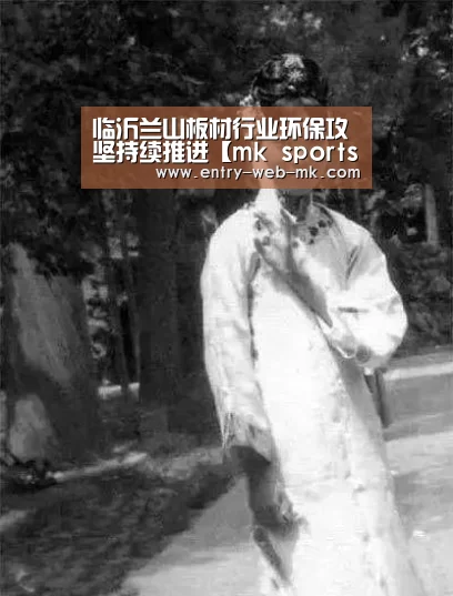 临沂兰山板材行业环保攻坚持续推进【mk sports】(图2) mk体育入口